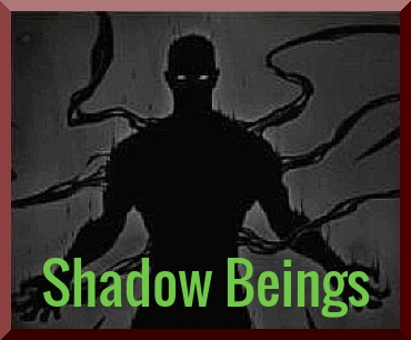 Shadow Beings