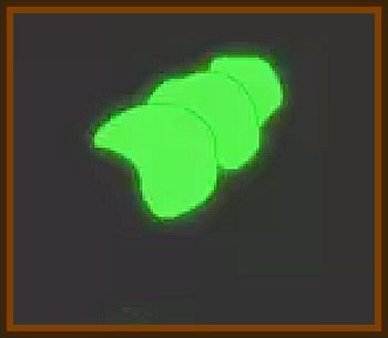 Glowing Green Object the Size of a Peanut