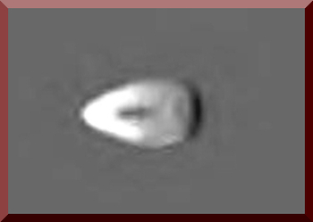 Teardrop Shaped Object Observed
